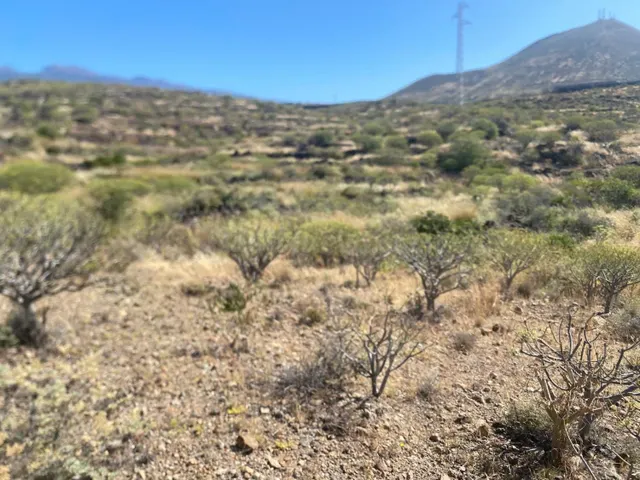 Interesante terreno de 11.223m2 anexo al circuito de Alta Ve - foto 4