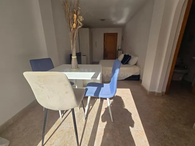 GRAN ESTUDIO EN TORREVIEJA: 1 ASEO - foto 3