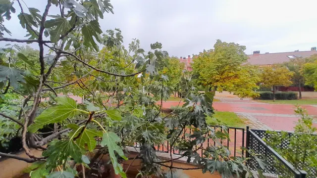 CHALET EN VENTA EN PAULA LÓPEZ-COVARESA — 30
