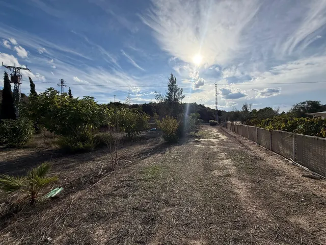 Terreno rústico en venta en tolomó – Aspe (Alicante) — 7