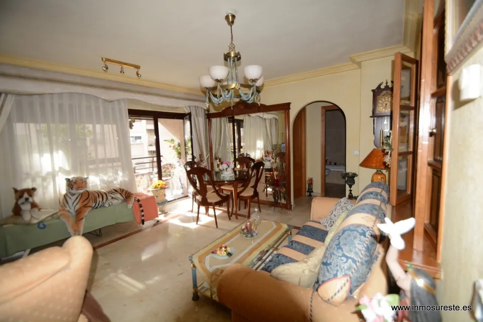 ¡¡ GRAN OPORTUNIDAD. VIVIENDA CÉNTRICA EN ORIHUELA !! Piso de 102 m2. construidos, distribuidos en 3 habitaciones, 2 baños. Zona Centro de Orihuela.
