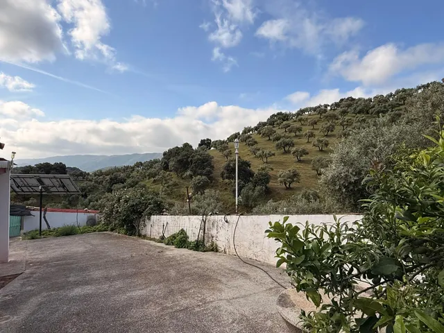 Finca rústica de 26 ha con 3.000 olivos ecológicos, cortijos y alta producción. — 49