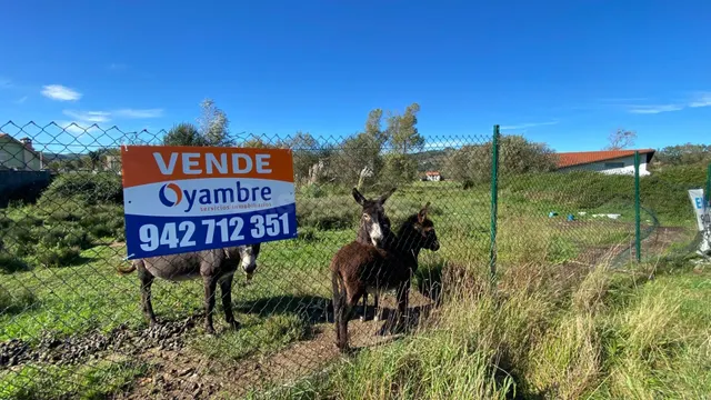 SE VENDE TERRENO URBANIZABLE EN PIELAGOS, RENEDO