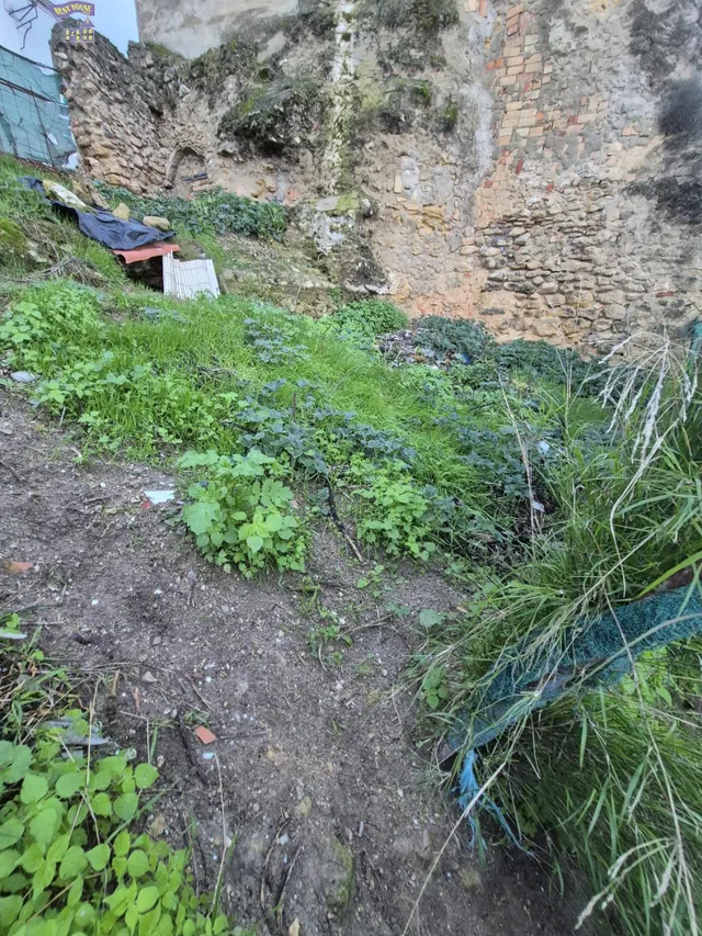 SE VENDE SOLAR EN ZONA DEL CASCO ANTIGUO — 2