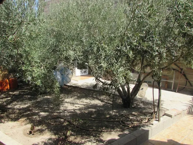 Venta de casa de campo en la zona venta san felipe, Águilas — 18