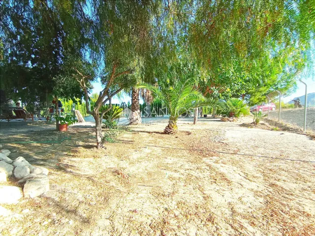 VENTA DE PARCELA ENTRE LA ROMANA Y ASPE — 9