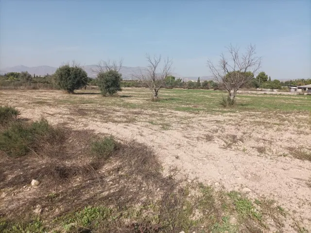SE VENDE TERRENO RÚSTICO AGRICOLA PARA CONSTRUIR NUEVO CHALET — 17