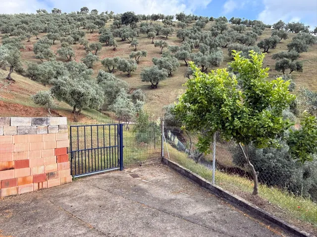 Finca rústica de 26 ha con 3.000 olivos ecológicos, cortijos y alta producción. — 16