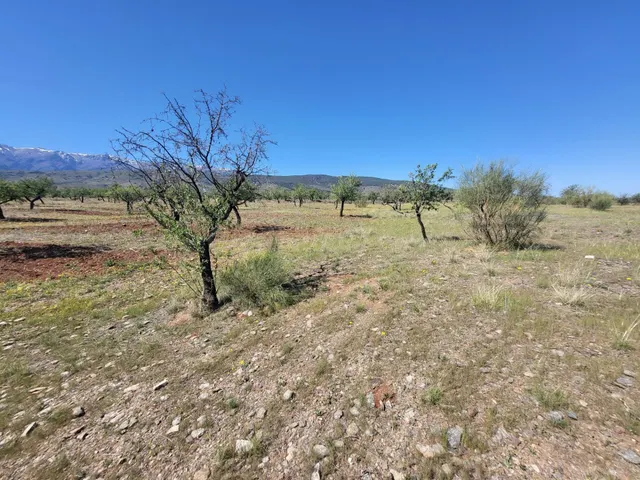 SE VENDE PARCELA RUSTICA EN ABRUCENA ZONA CAMPILLO - foto 2