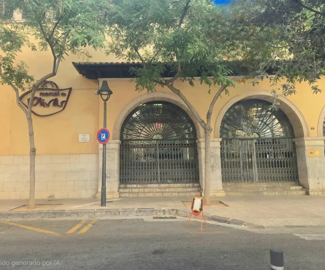PISO EN EL CENTRO DE PALMA — 26