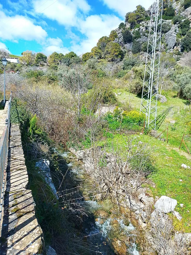 Finca ideal para construir tu casa. — 22