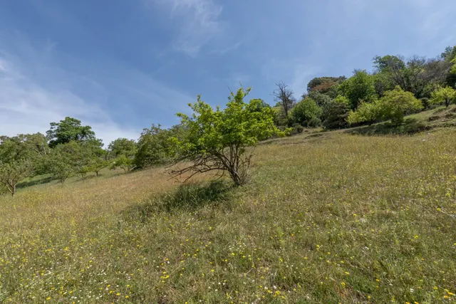 PARCELA EN VENTA EN SOPORTÚJAR — 44