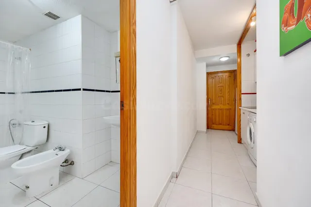Gran estudio en zona Avenida Habaneras, Torrevieja — 12
