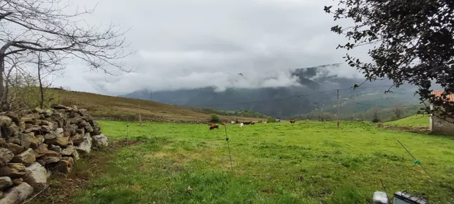 FINCA RÚSTICA CON CABAÑA Y VISTAS PANORÁMICAS EN LUENA.- — 11