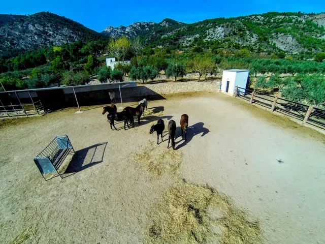 Un refugio de lujo y naturaleza con infinitas posibilidades en Muro de Alcoy — 7