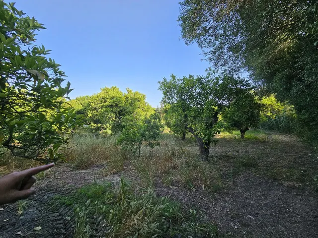 Finca Agrícola 1 habitación 100m² en venta - San martin del  - foto 2