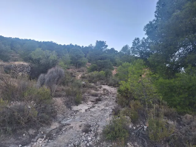 Finca rústica forestal en venta con vistas panoramicas · Castalla (Alicante) — 12