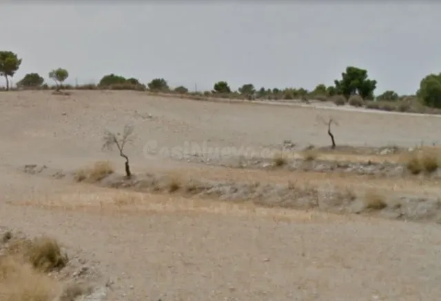 VENTA FINCA EN ZARZILLA DE RAMOS - foto 3