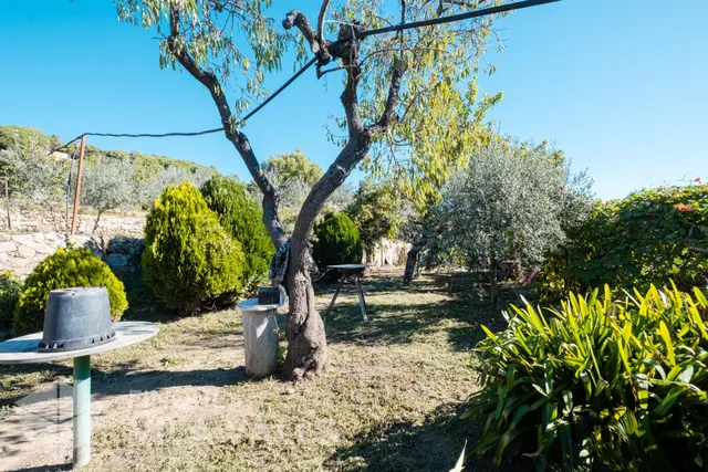 Granja amb posibilitat dues vivendes — 36