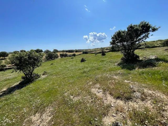 Terreno rural en venta - Extremadura - foto 5