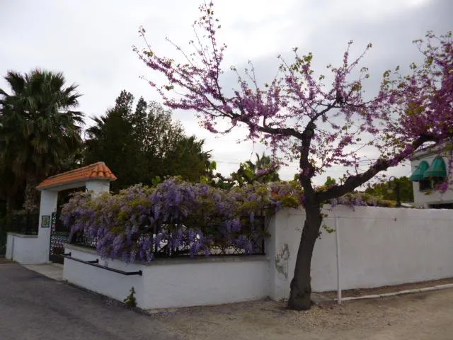 Chalet en zona Vinallop a 3 km. de Tortosa — 27