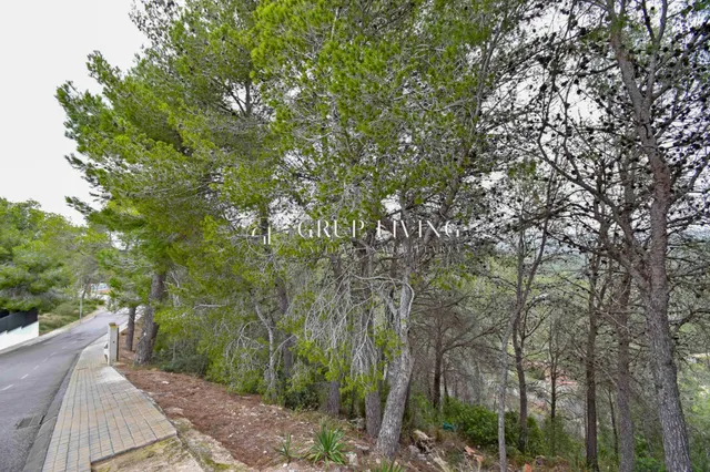 TERRENO EN CAN PERE LA PLANA — 2