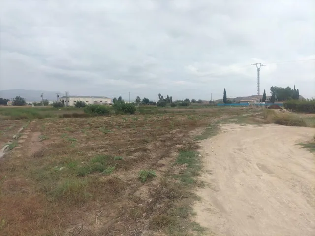 FINCA RÚSTICA EN COX — 8