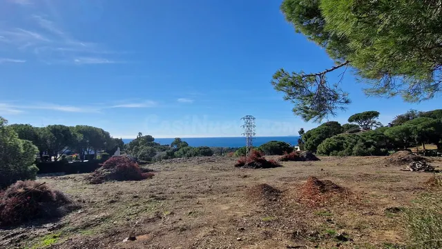 Parcela en venta - Marbella - foto 5