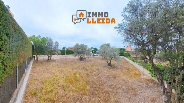 ¡Haz realidad la casa de tus sueños en Cervera! — 7