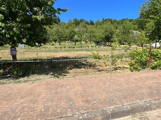 OPORTUNIDAD DE ADQUIRIR UN TERRENO EN UNA DE LAS ZONAS RURAL - foto 4