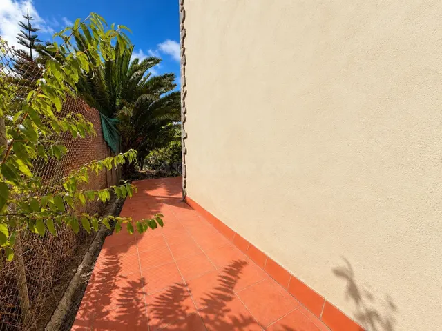 FINCA RÚSTICA CON VIVIENDA EN EL PALMITAL, STA. MARÍA DE GUÍA — 4