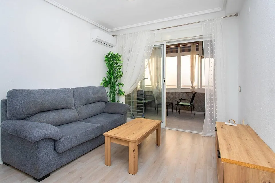 GRAN APARTAMENTO EN TORREVEIJA: 2 HAB,1  BAÑO