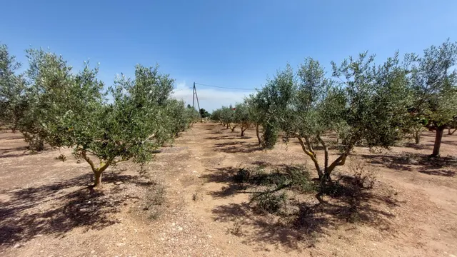 Tu Refugio Natural a un Paso de la Ciudad: ¡Transforma y Crea! — 34