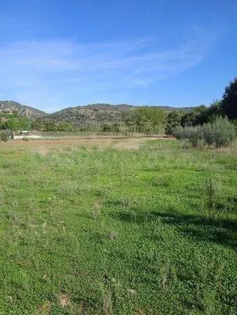Parcela de terreno de 1.500 m2 EN CUEVAS BAJAS/ ZONA BAJA - foto 2