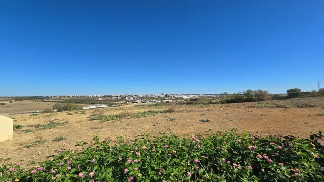 Magnífica casa de campo con piscina y vistas a Moguer, en finca de casi 15.000 m2 — 43