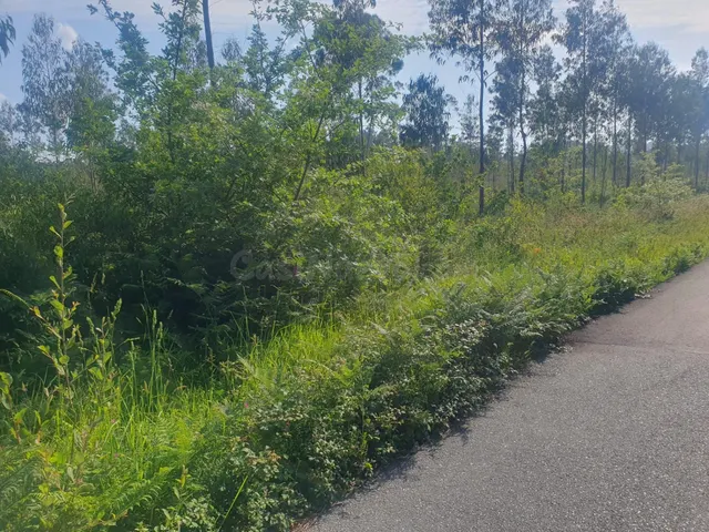 La propiedad tiene una fachada de unos 250 a una buena carre - foto 2