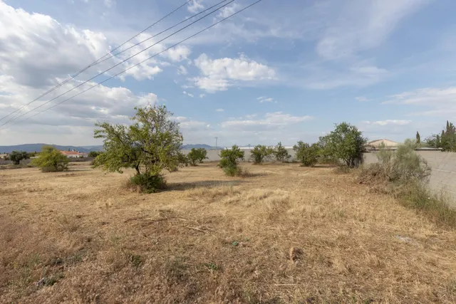 Terreno rural en venta - LOS TABLAZOS — 7