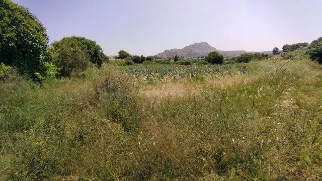 Parcela en venta - Calasparra centro - foto 5