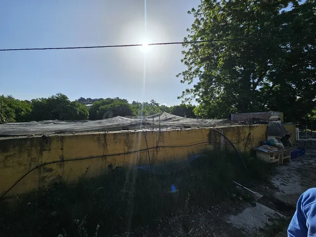 Finca Agrícola 1 habitación 100m² en venta - San martin del  - foto 4