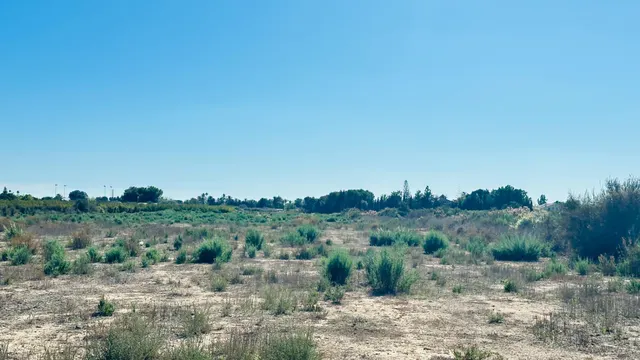 Terreno de 12.000 m2 en Perleta. — 11
