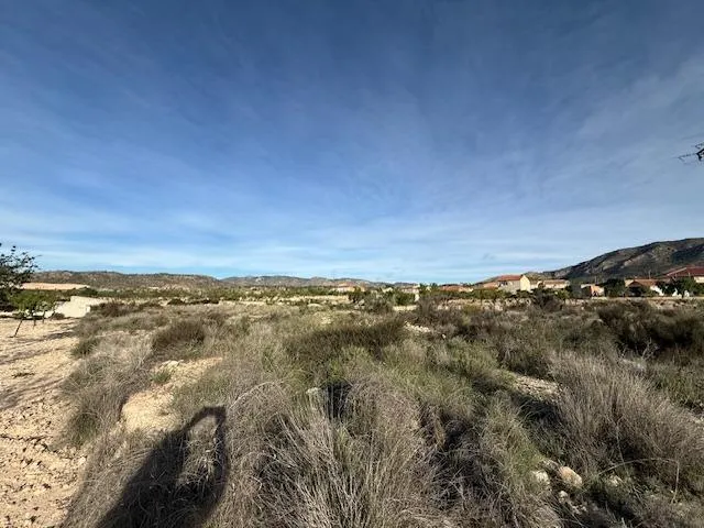 Venta  de terreno en Barinas (Abanilla) — 4