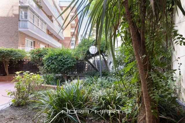 Magnífica planta baja en tres torres — 9