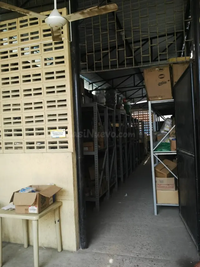 Venta de Bodega en Barrio El Campestre - foto 5