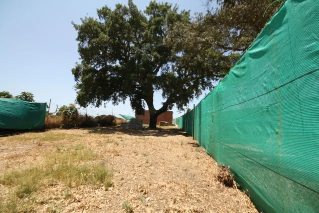 ESTUPENDA PARCELA EN LA GUAREÑA — 11