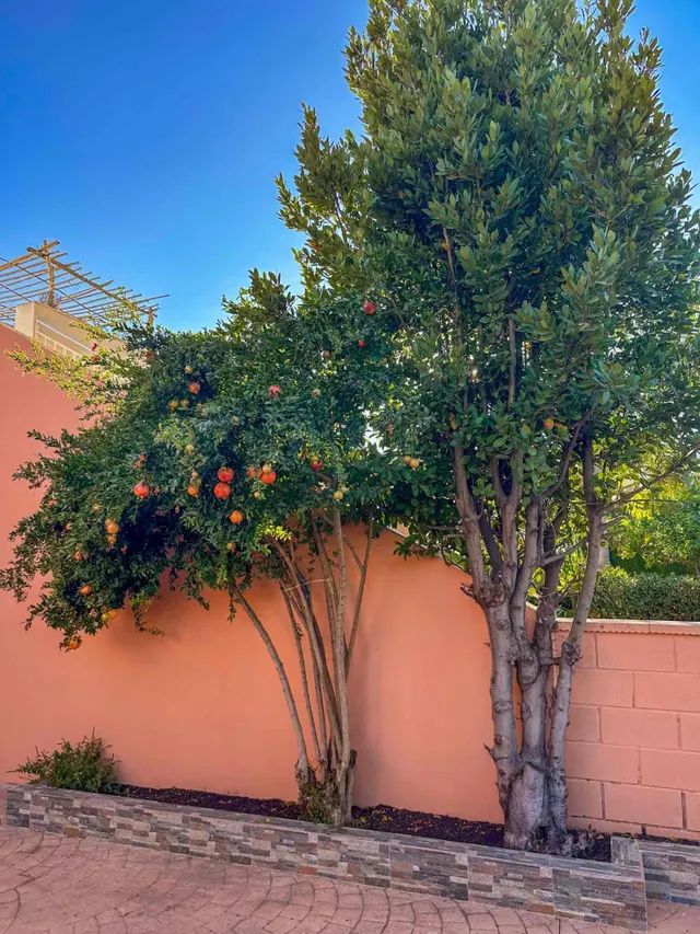 ALQUILER EN VENTA LANUZA · EL CAMPELLO — 28