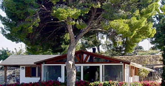 CHALET con equipamientos - HIPICA — 21