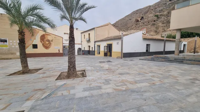 CASA MUSEO MIGUEL HERNÁNDEZ EXCLUSIVO SOLAR URBANIZABLE — 25
