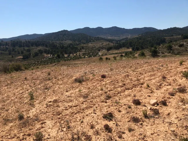Parcela en venta - Extremadura - foto 5