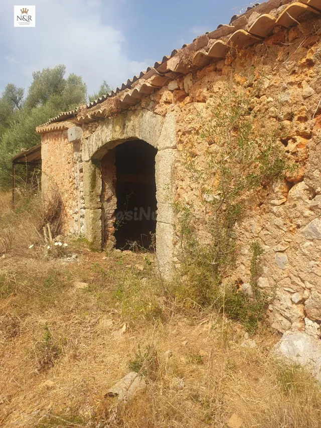 FINCA SENCELLES EDIFICABLE CAS CANAR - foto 4