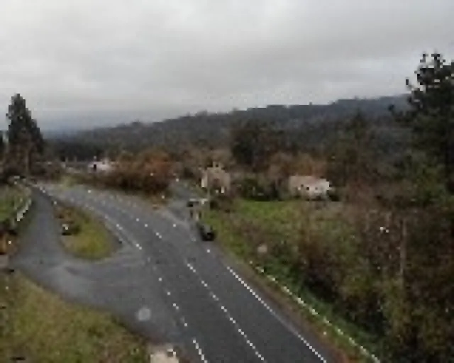 Finca Urbana en OzaCesuras — 21